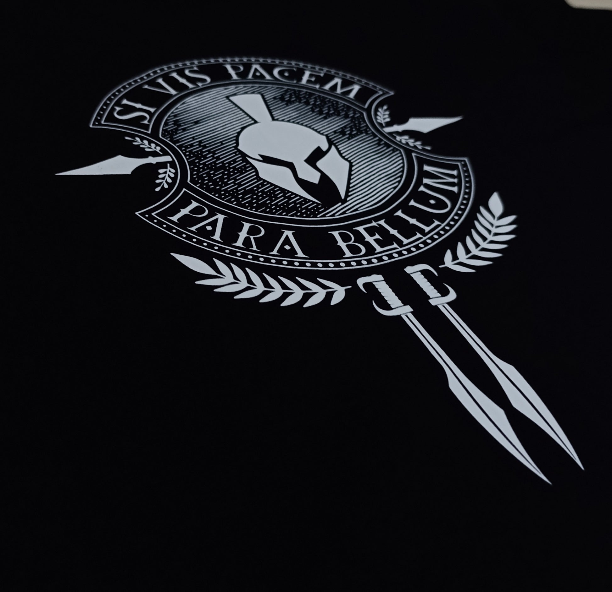 BEAST ARMOR CORE - PARA BELLUM OVERSIZE T-SHIRT